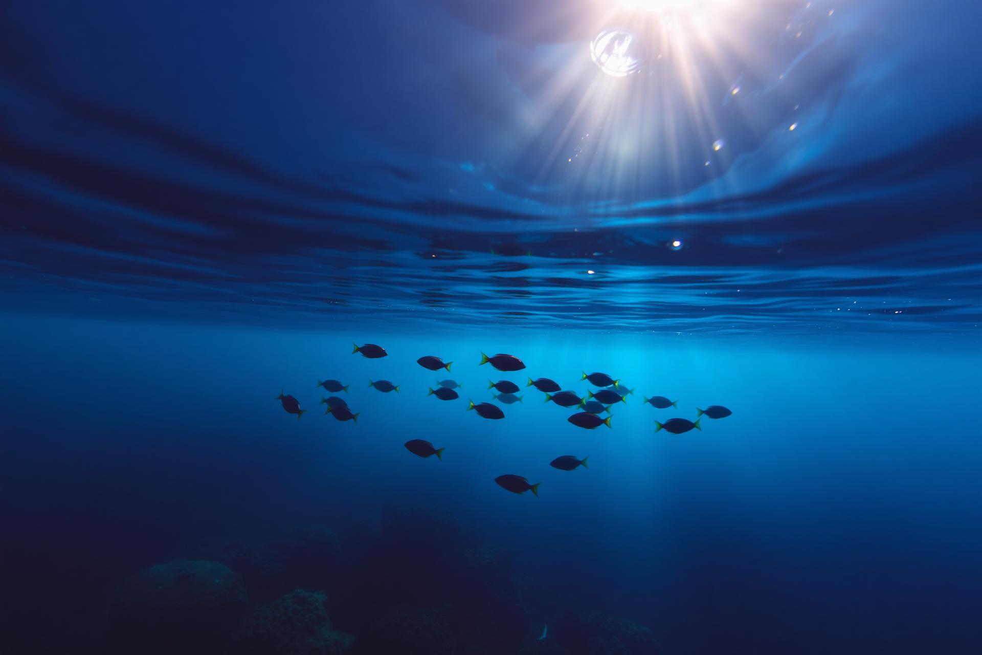 Plongée sous-marine en Asie